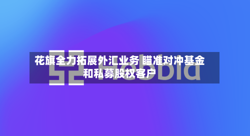花旗全力拓展外汇业务 瞄准对冲基金和私募股权客户-第3张图片