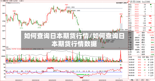 如何查询日本期货行情/如何查询日本期货行情数据