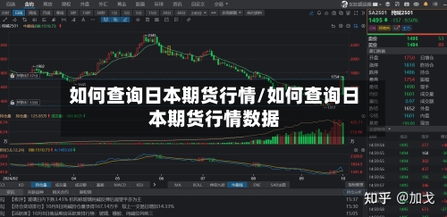 如何查询日本期货行情/如何查询日本期货行情数据-第2张图片