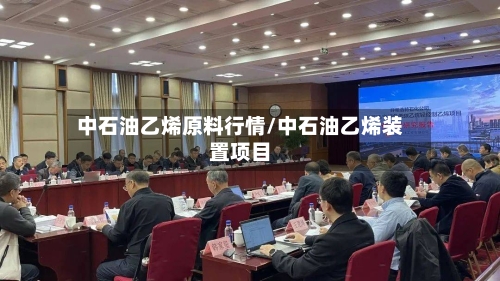 中石油乙烯原料行情/中石油乙烯装置项目-第2张图片