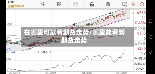 在哪里可以看期货走势/哪里能看到期货走势