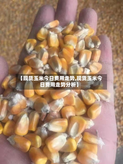 【现货玉米今日费用走势,现货玉米今日费用走势分析】-第2张图片