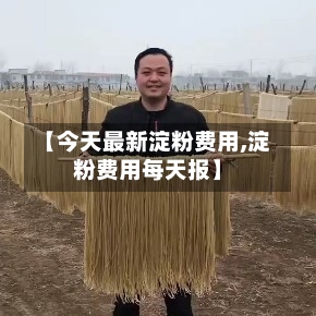 【今天最新淀粉费用,淀粉费用每天报】-第3张图片