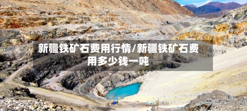 新疆铁矿石费用行情/新疆铁矿石费用多少钱一吨