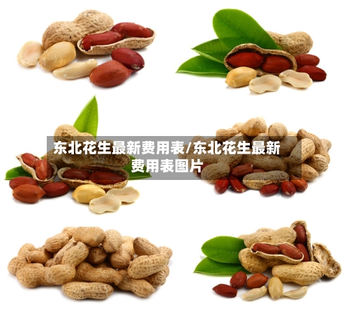 东北花生最新费用表/东北花生最新费用表图片-第2张图片