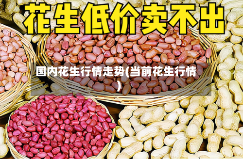 国内花生行情走势(当前花生行情)