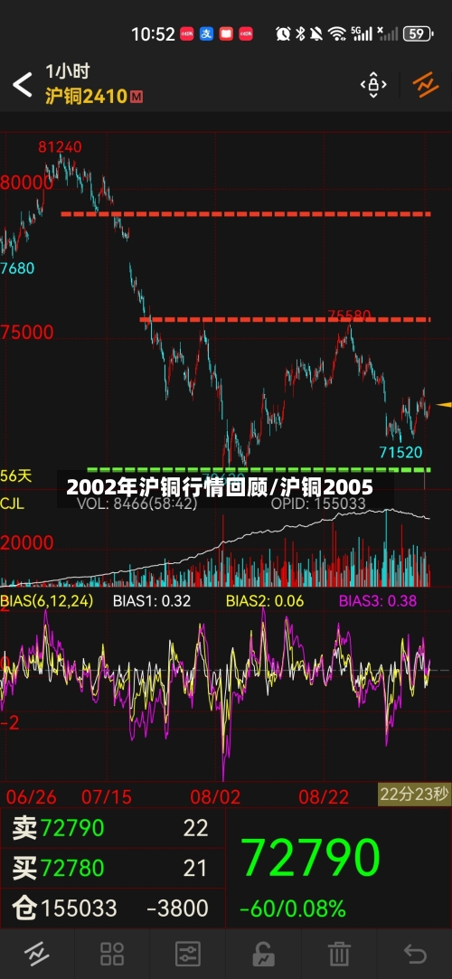 2002年沪铜行情回顾/沪铜2005