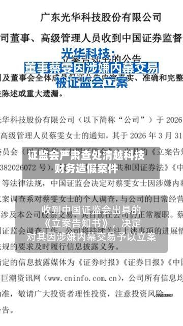 证监会严肃查处清越科技财务造假案件-第2张图片
