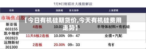 【今日有机硅期货价,今天有机硅费用走势】-第2张图片