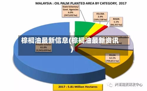 棕榈油最新信息(棕榈油最新资讯)