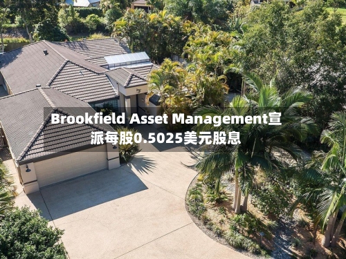 Brookfield Asset Management宣派每股0.5025美元股息-第3张图片