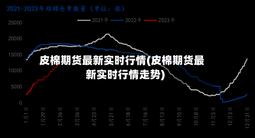 皮棉期货最新实时行情(皮棉期货最新实时行情走势)-第2张图片