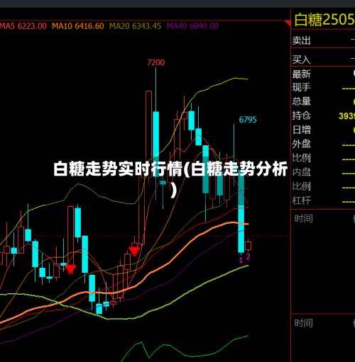 白糖走势实时行情(白糖走势分析)-第3张图片