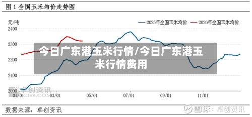 今日广东港玉米行情/今日广东港玉米行情费用-第2张图片