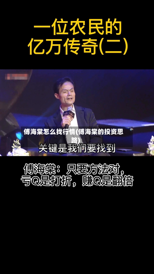 傅海棠怎么找行情(傅海棠的投资思路)
