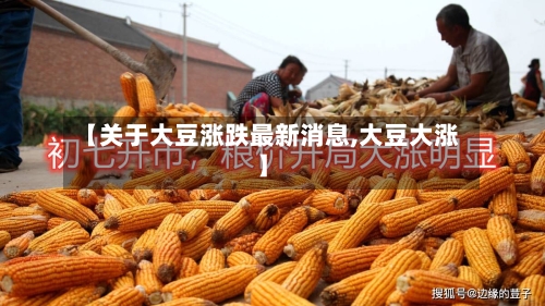 【关于大豆涨跌最新消息,大豆大涨】-第2张图片