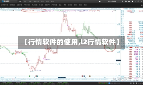 【行情软件的使用,l2行情软件】-第3张图片