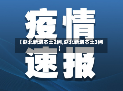 【湖北新增本土2例,湖北新增本土3例】