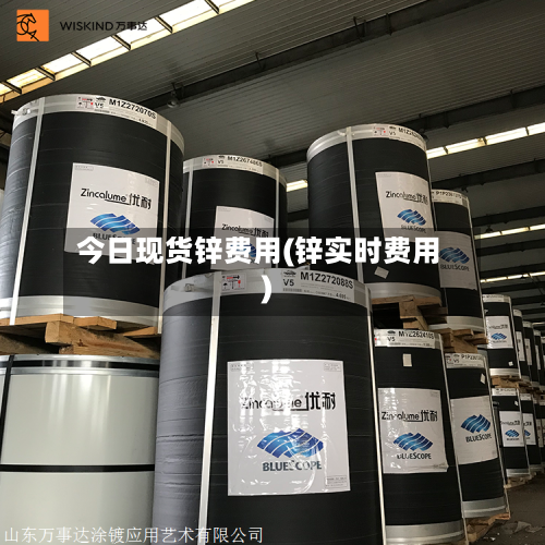 今日现货锌费用(锌实时费用)-第2张图片