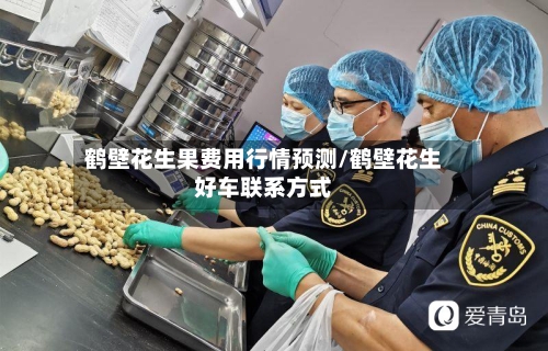 鹤壁花生果费用行情预测/鹤壁花生好车联系方式-第2张图片
