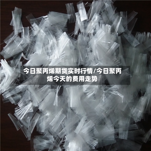 今日聚丙烯期货实时行情/今日聚丙烯今天的费用走势