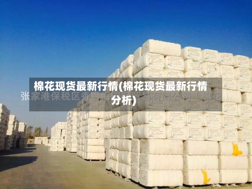 棉花现货最新行情(棉花现货最新行情分析)-第2张图片