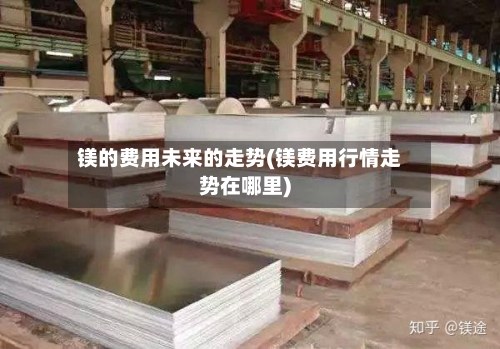 镁的费用未来的走势(镁费用行情走势在哪里)