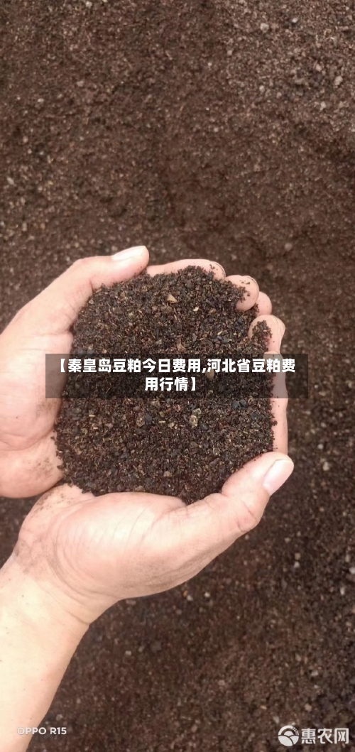 【秦皇岛豆粕今日费用,河北省豆粕费用行情】