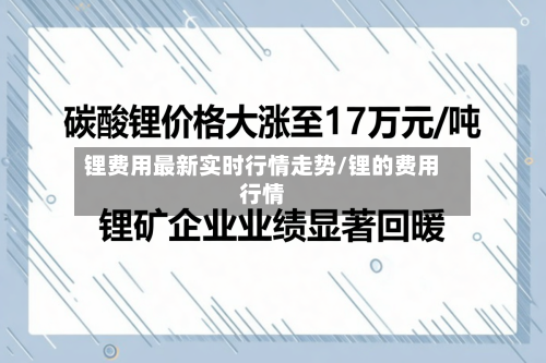 锂费用最新实时行情走势/锂的费用行情