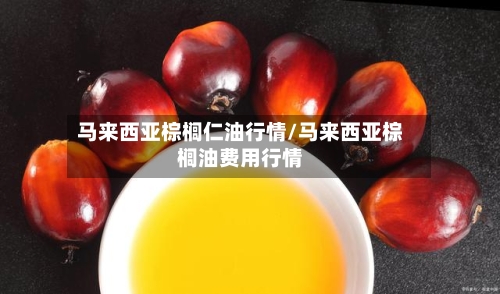 马来西亚棕榈仁油行情/马来西亚棕榈油费用行情
