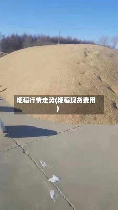 粳稻行情走势(粳稻现货费用)-第2张图片