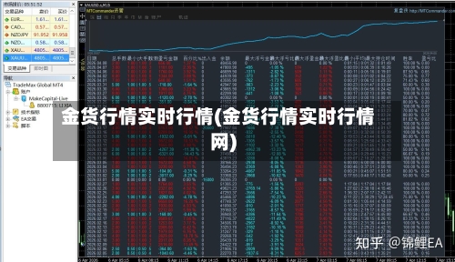金货行情实时行情(金货行情实时行情网)