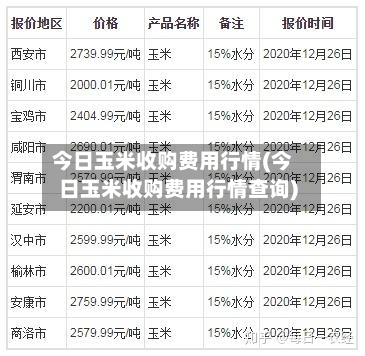 今日玉米收购费用行情(今日玉米收购费用行情查询)