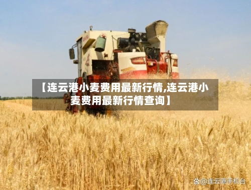 【连云港小麦费用最新行情,连云港小麦费用最新行情查询】