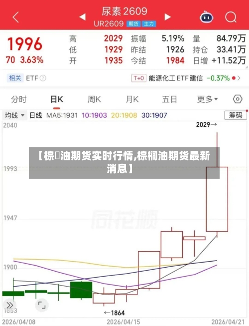 【棕橺油期货实时行情,棕榈油期货最新消息】-第3张图片