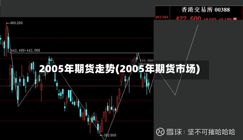 2005年期货走势(2005年期货市场)