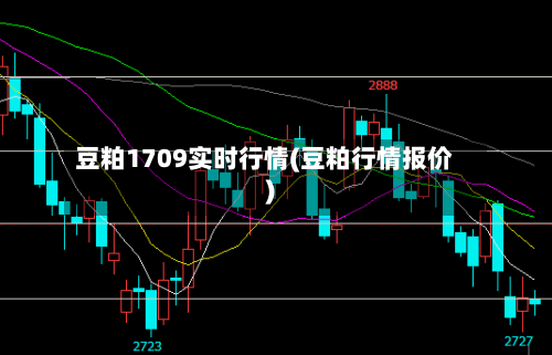 豆粕1709实时行情(豆粕行情报价)