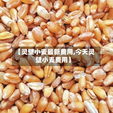 【灵壁小麦最新费用,今天灵壁小麦费用】
