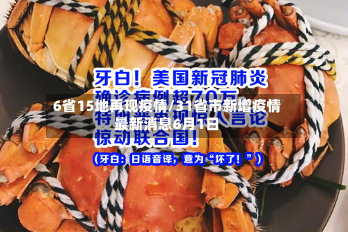 6省15地再现疫情/31省市新增疫情最新消息6月1日-第3张图片