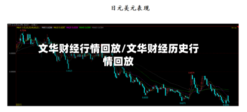 文华财经行情回放/文华财经历史行情回放-第3张图片