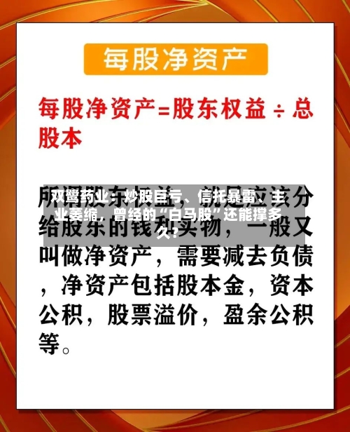 双鹭药业：炒股巨亏、信托暴雷、主业萎缩，曾经的“白马股	”还能撑多久？-第2张图片