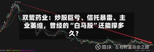 双鹭药业：炒股巨亏	、信托暴雷、主业萎缩	，曾经的“白马股”还能撑多久？-第3张图片