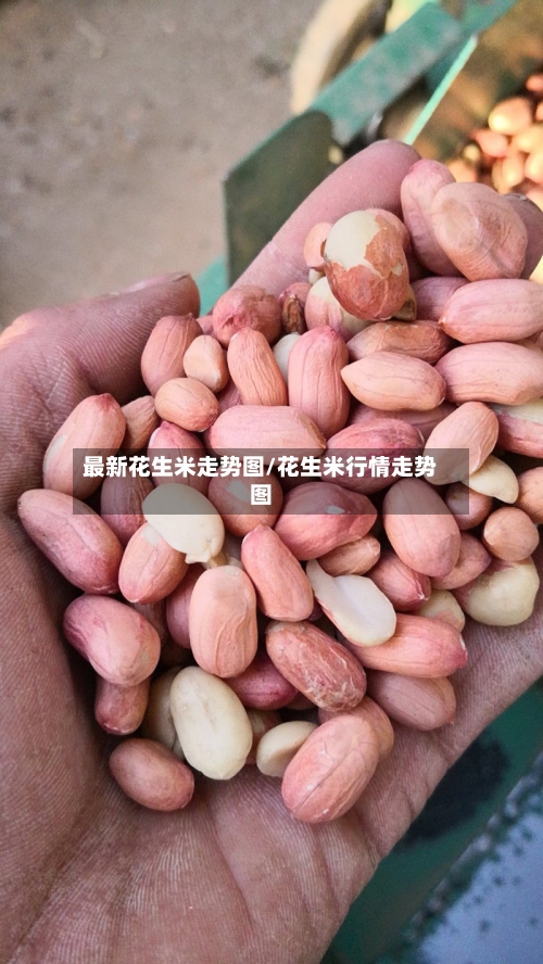 最新花生米走势图/花生米行情走势图