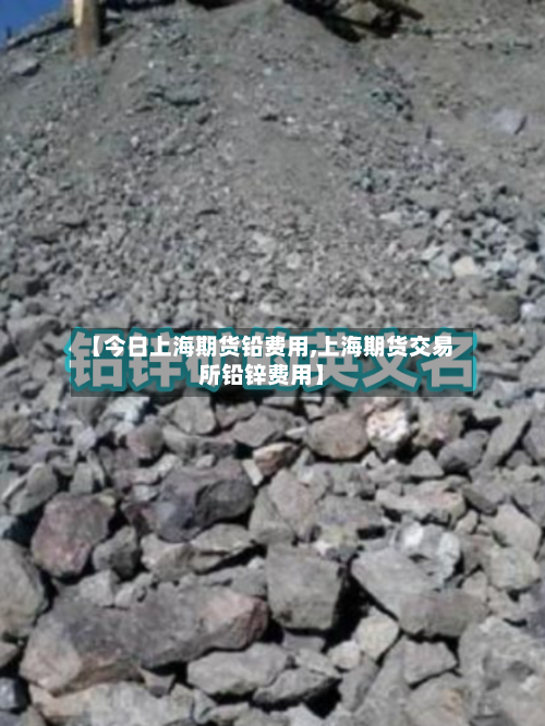 【今日上海期货铅费用,上海期货交易所铅锌费用】