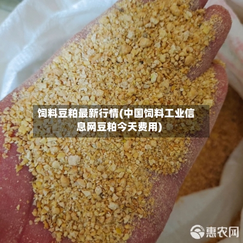 饲料豆粕最新行情(中国饲料工业信息网豆粕今天费用)-第3张图片