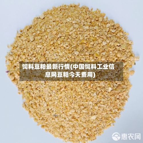 饲料豆粕最新行情(中国饲料工业信息网豆粕今天费用)