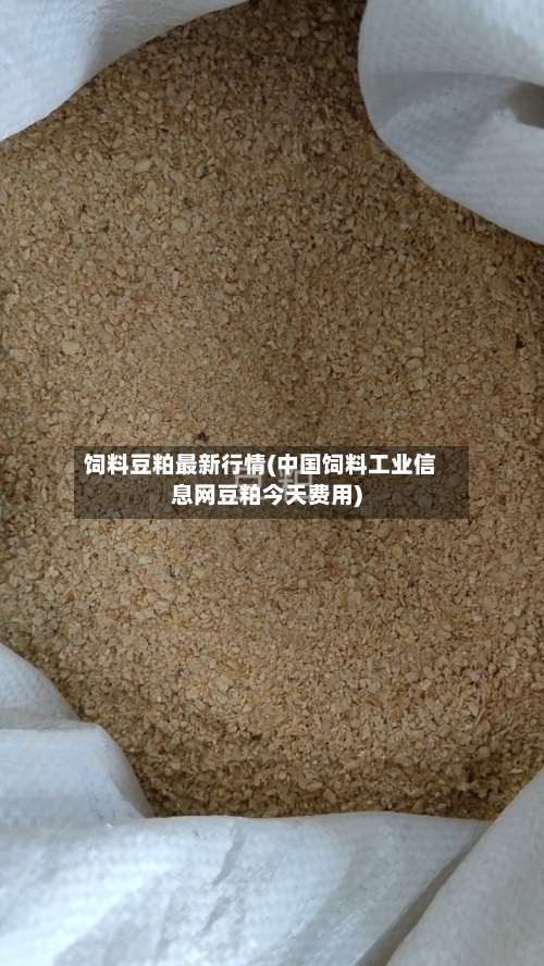 饲料豆粕最新行情(中国饲料工业信息网豆粕今天费用)-第2张图片