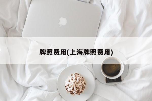 牌照费用(上海牌照费用)