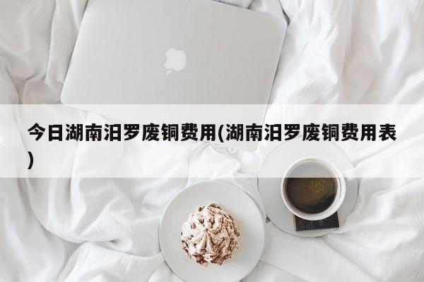 今日湖南汨罗废铜费用(湖南汨罗废铜费用表)