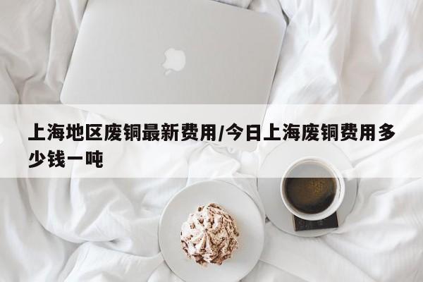 上海地区废铜最新费用/今日上海废铜费用多少钱一吨